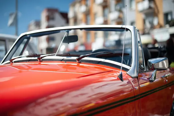 MrOyun Casino App Android/iOS